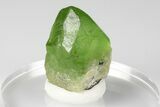 Green Olivine Peridot Crystal - Pakistan #185278-1